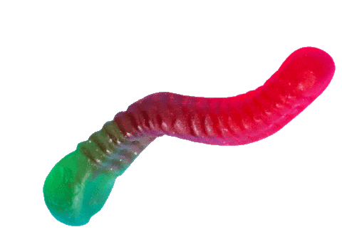 wriggling gummy worm